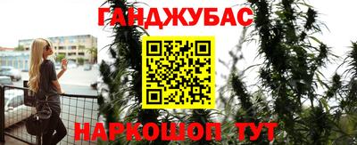 спайс Тара