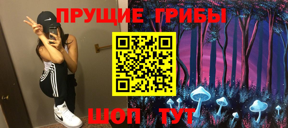 Псилоцибиновые грибы Cubensis Нарткала