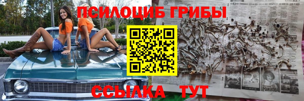 Псилоцибиновые грибы Psilocybine cubensis  Вход с VPN  Галлюциногенные грибы Psilocybe  Нарткала 